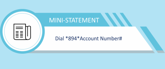 Dial *894# to check mini statement