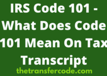 IRS Code 101 Meaning On 2023/2024 Tax Transcript