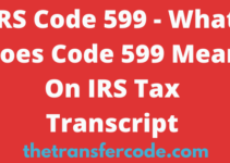 IRS Code 599 Meaning On 2023/2024 Tax Transcript [Solved]