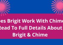 Does Brigit Work With Chime, 2023, Full Details About Brigit & Chime