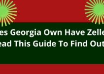 Does Georgia Own Have Zelle, Read This Guide To Find Out