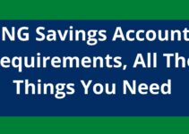 ING Savings Account Requirements, 2023, All The Things You Need